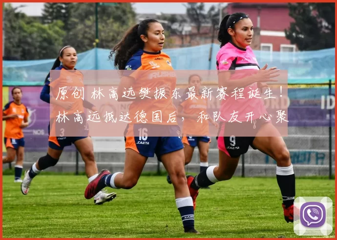 原创 林高远樊振东最新赛程诞生！林高远抵达德国后，和队友开心聚会